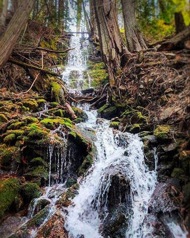 #waterfall #hiking #adventure #pnwonderland #fall #optoutside #naturelovers #brynballenger