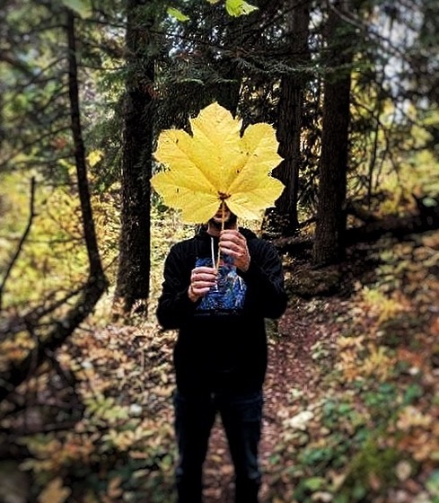#autumn #fallcolors #hiking #forest #neverstopexploring #forgeyourownpath #52weeksofnature #washington #pnwonderland #adventure #travel #livetoroam #brynballenger