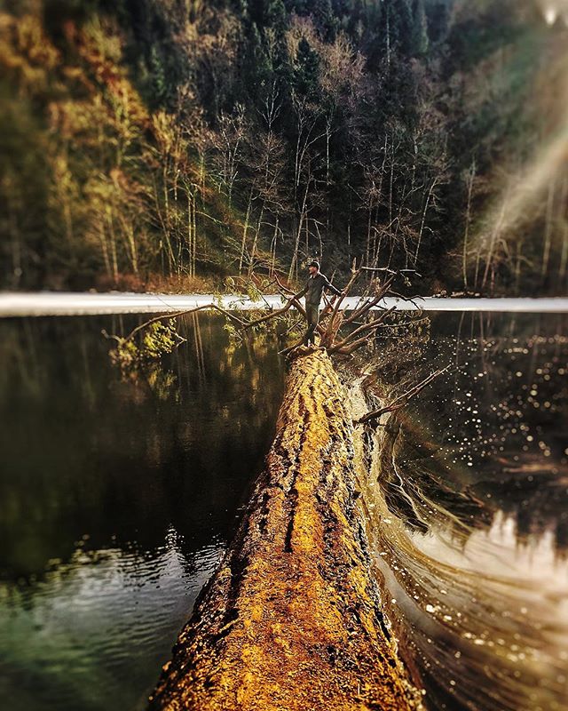 #pnw #larrabeestatepark #reflection #hiking #exploretocreate #naturephotography #wanderlust #roadtrip #picoftheday #adventure #neverstopexploring #getoutside #spring #forest #beautifuldestinations #brynballenger