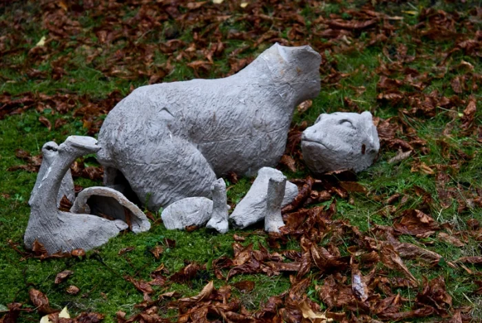 DSC_0172.jpg