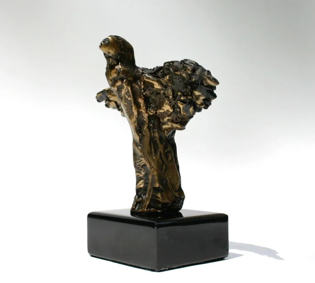 Fledgling Monumental 3:4.jpg