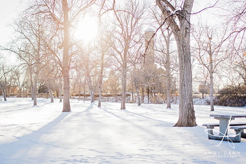 Gibson_Park_Great_Falls_Montana_Engagement_Session51.jpg