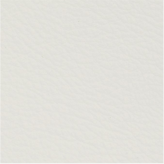 Polar.jpg