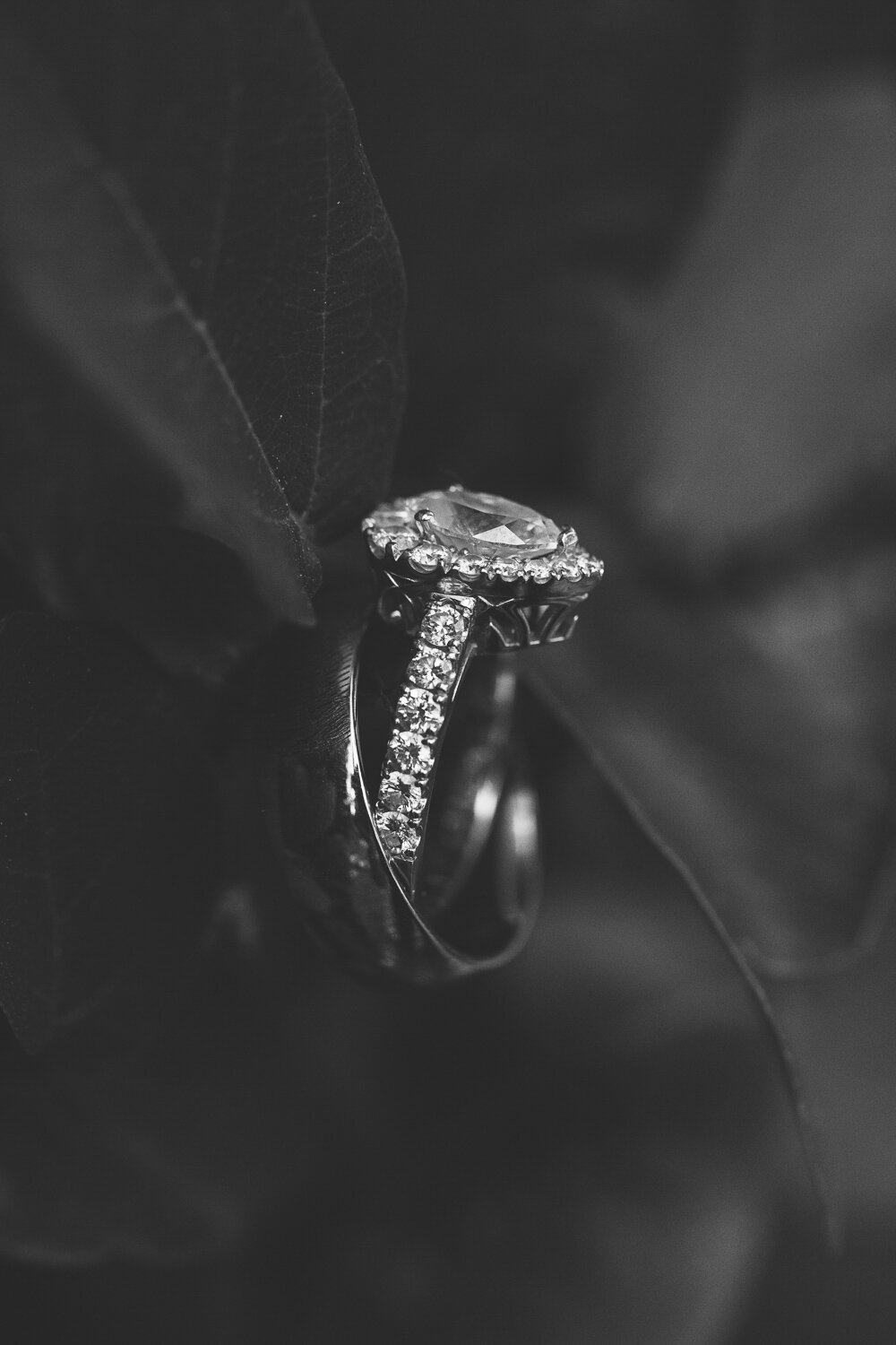 Wedding Rings | Bend, Oregon