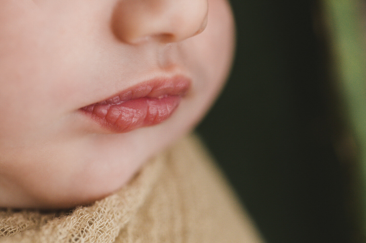 Newborn Baby Lips | Photos by Bend, Oregon Photographer