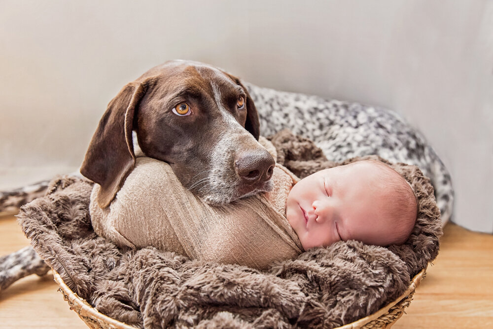 Newborn+with+dog-Bend-Oregon+Newborn+Photographer01.jpg