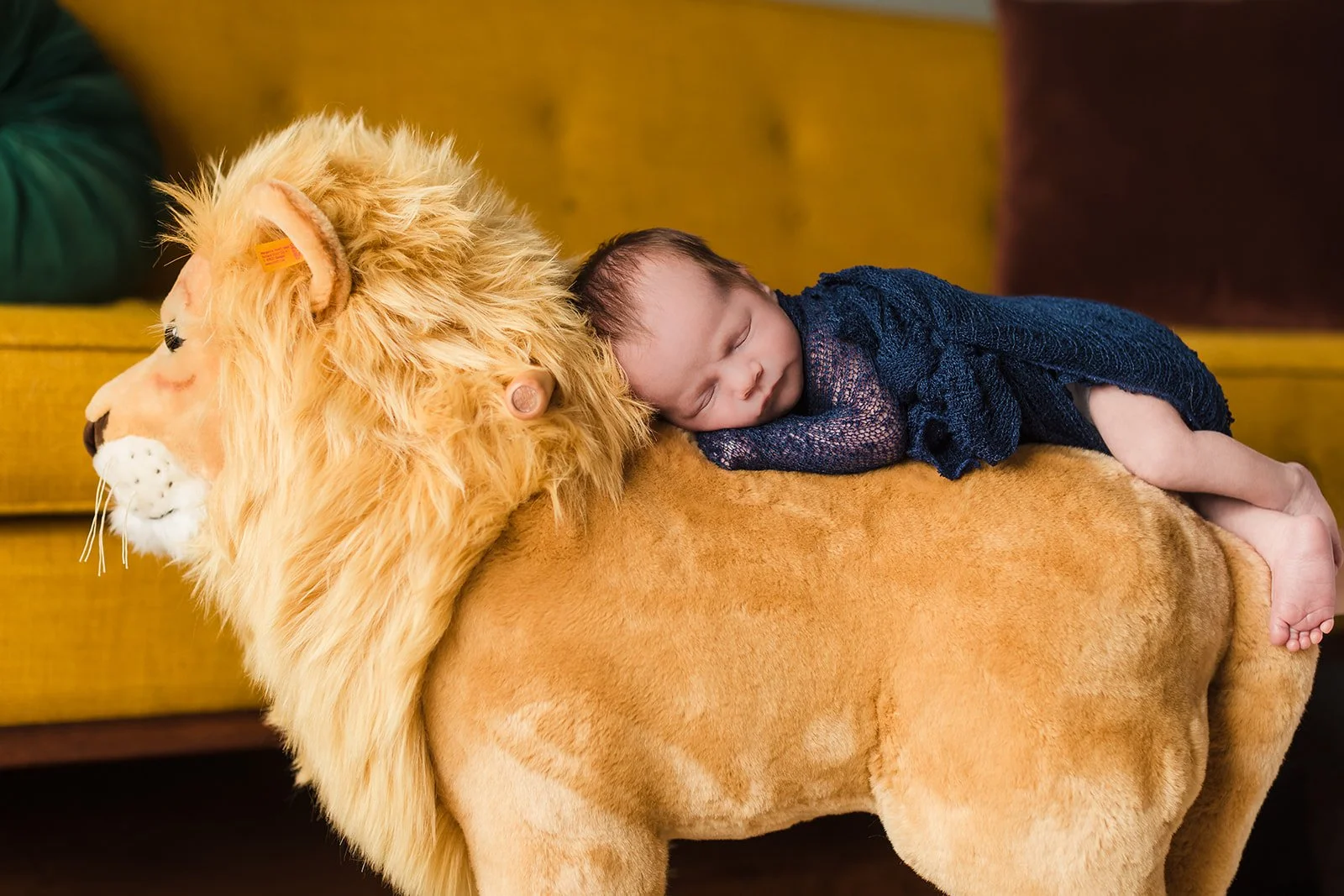 Capturing Precious Moments: Lifestyle Newborn Sessions in Bend, Oregon