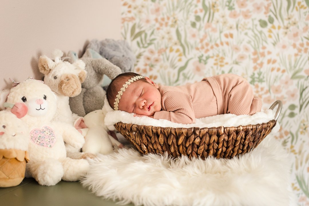 Ana Victoria's Lifestyle Newborn Session