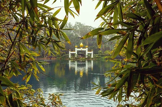 βEvery day strive to be healthy, wealthy, wise, and happy, not by taking away the health, wealth, and happiness of others, but by including their happiness and welfare in your own.β - Yogananda