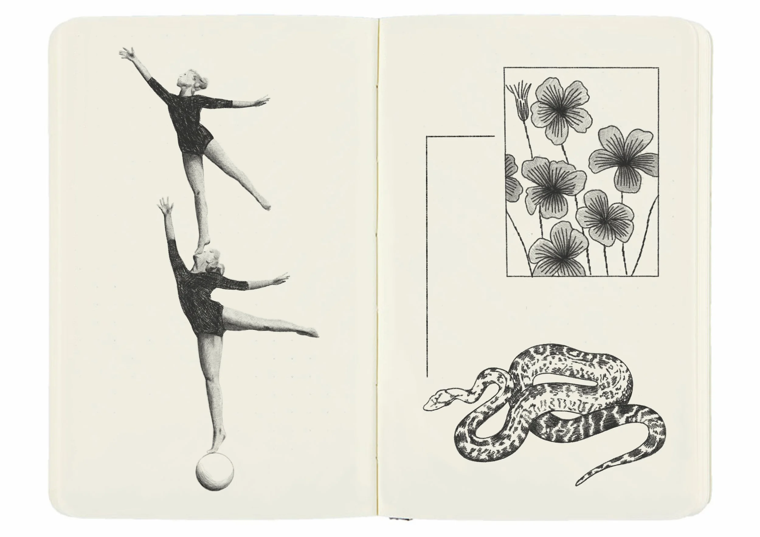 Untitled_Artwork.jpg