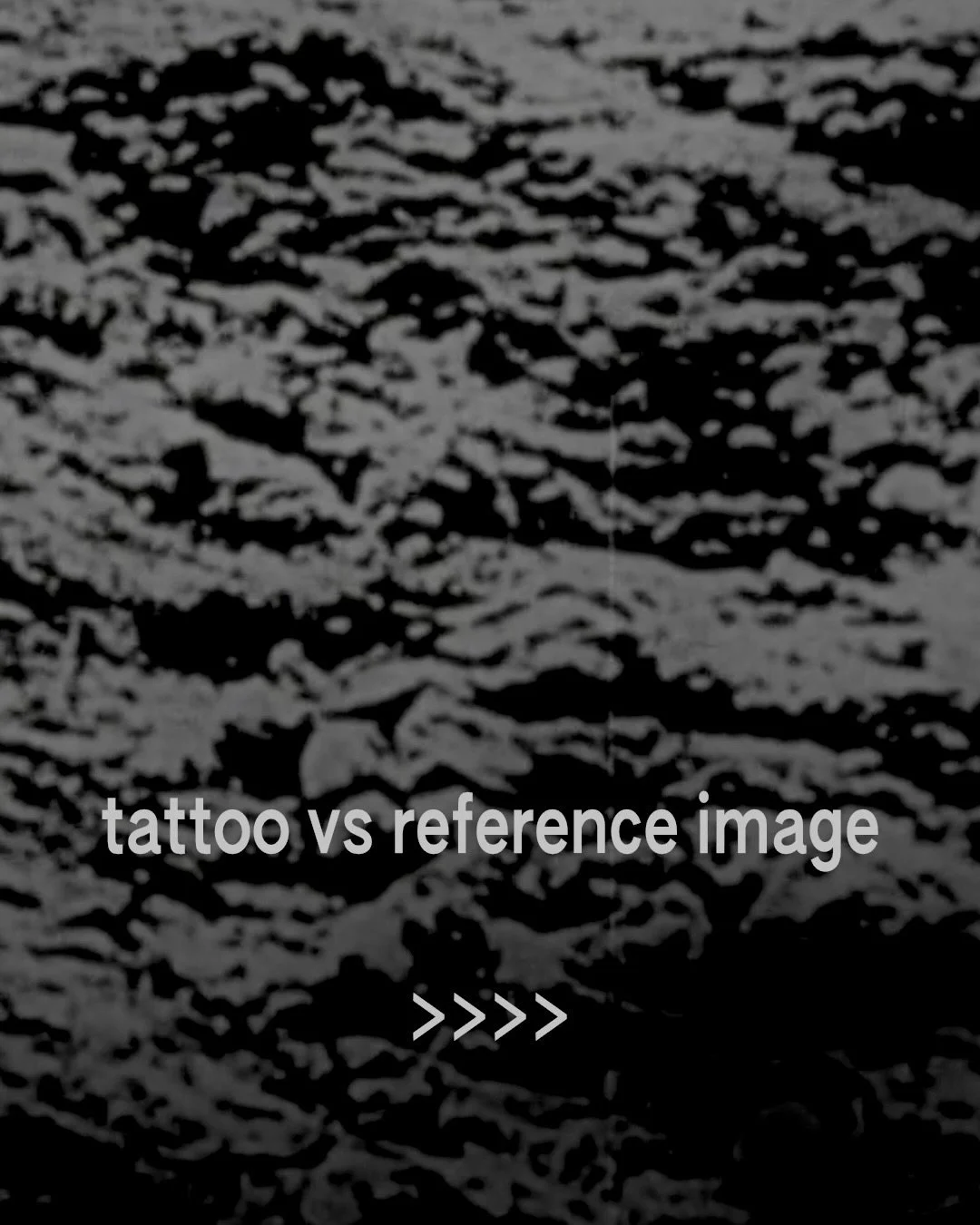 Here&rsquo;s a few examples of the tattoo vs reference images.
Upcoming guest spot in Melbourne / Naarm next week 17-19th September @crucibletattooco 
.
DM me or email honourtattoo@gmail.com to book in.
.
.
.
#honourtattoo
#studiohonour
#melbournetat