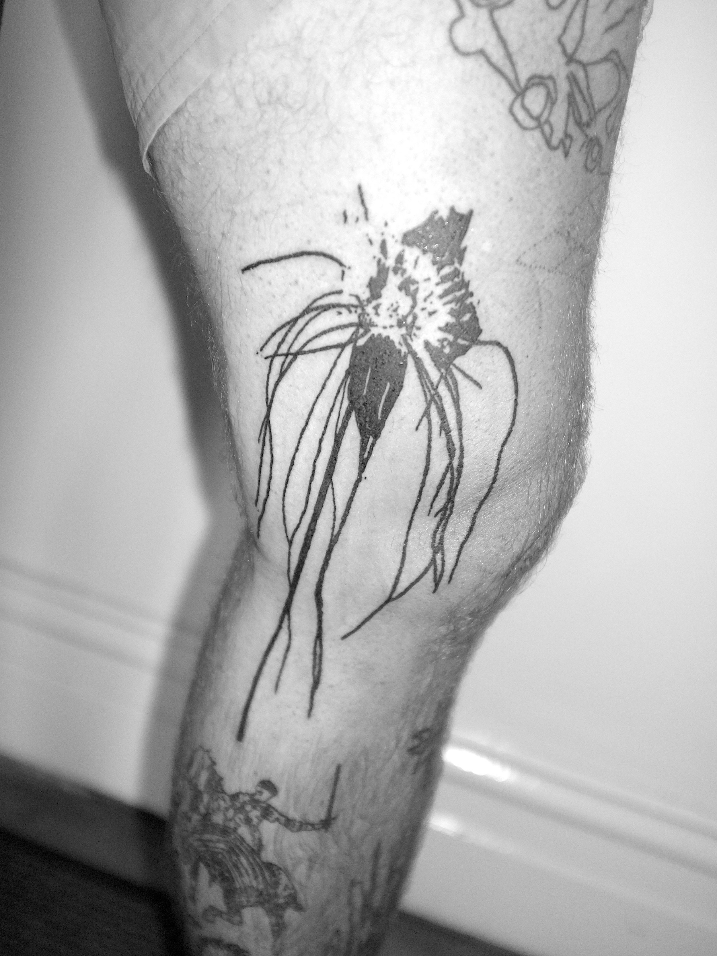 Tattooing in Melbourne ✦ I&rsquo;ve got availability over the next few weeks. 
Send me your ideas for custom tattoos.
Summer is around the corner so If you&rsquo;ve been thinking about getting tattooed, now&rsquo;s a good time to lock in a spot!
Get 