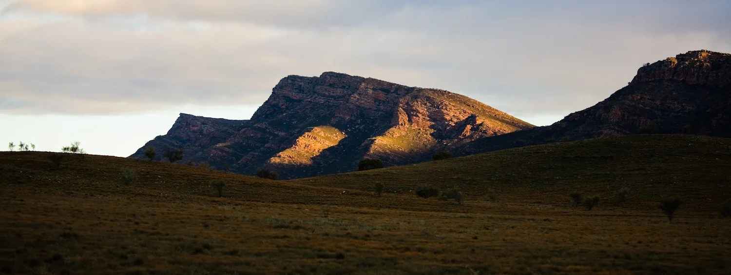 Wilpena Pound at dusk.
