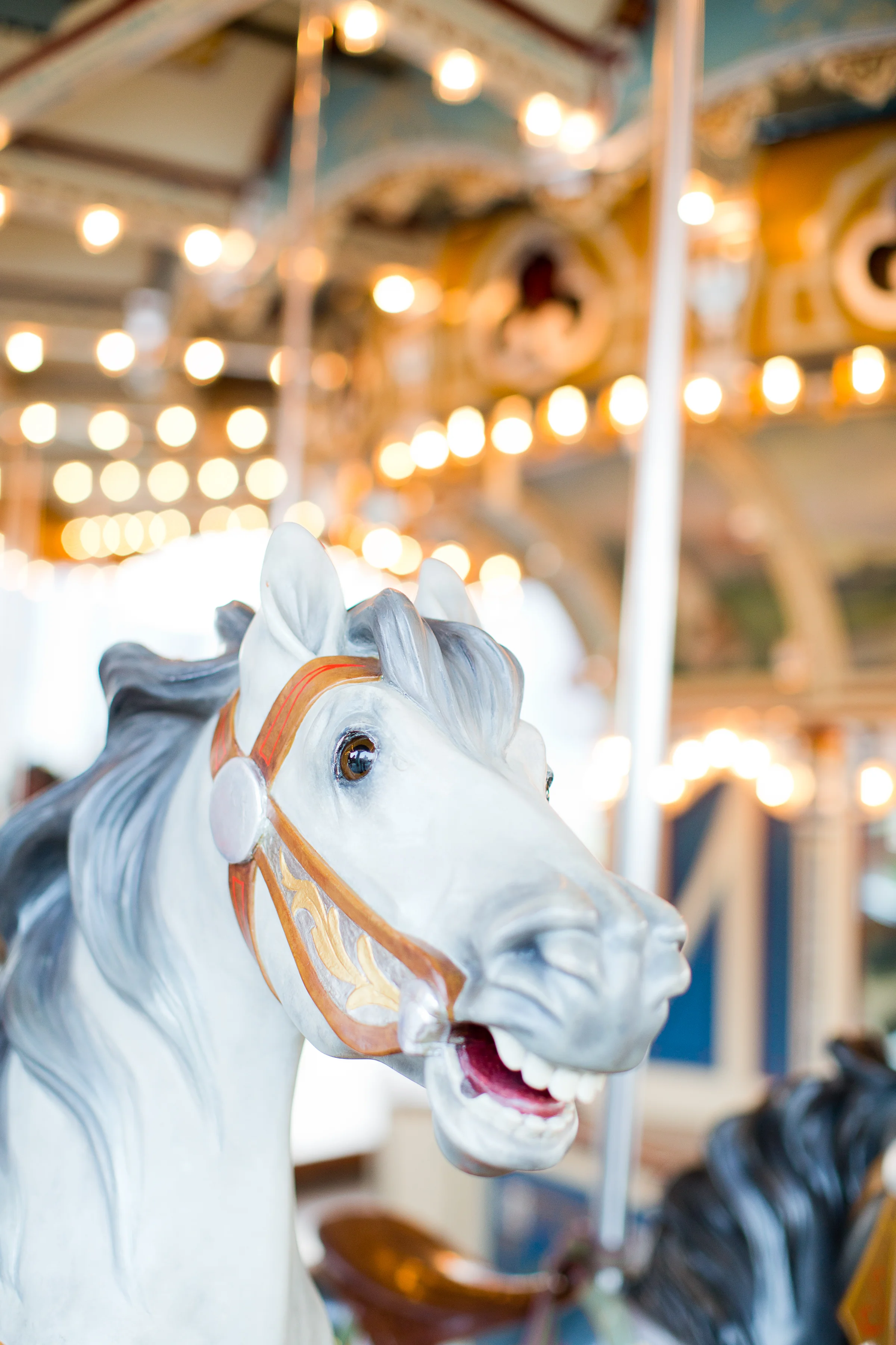 Melissa Kruse Photography - Sarah + Geoff DUMBO Brooklyn Bridge Park Jane's Carousel Engagement Photos-72.jpg