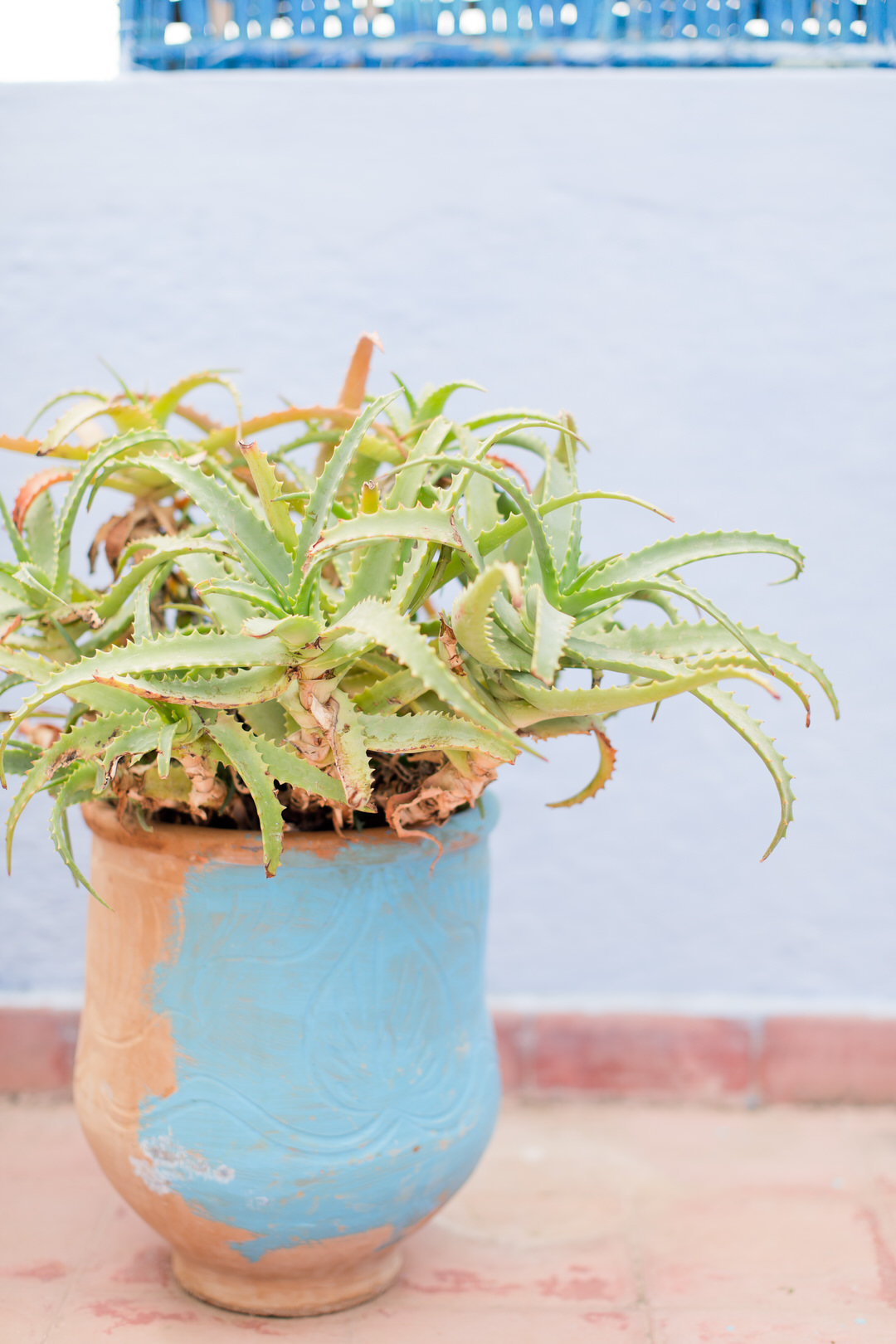 Melissa Kruse Photography - Chefchaouen Morocco (web)-42.jpg