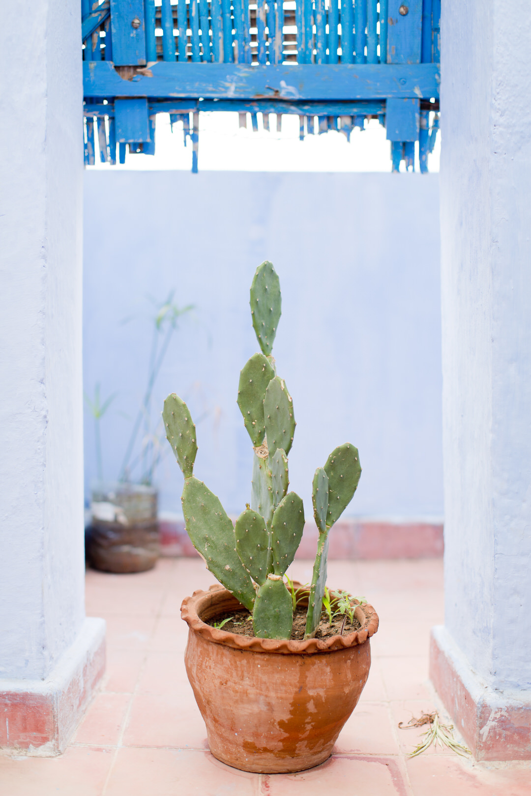 Melissa Kruse Photography - Chefchaouen Morocco (web)-43.jpg