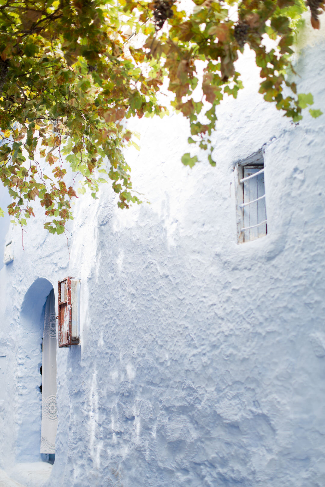 Melissa Kruse Photography - Chefchaouen Morocco (web)-48.jpg