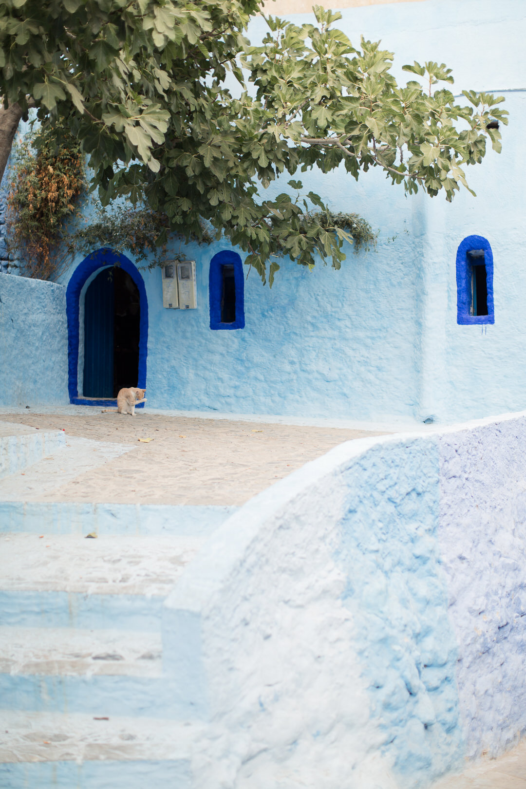 Melissa Kruse Photography - Chefchaouen Morocco (web)-86.jpg