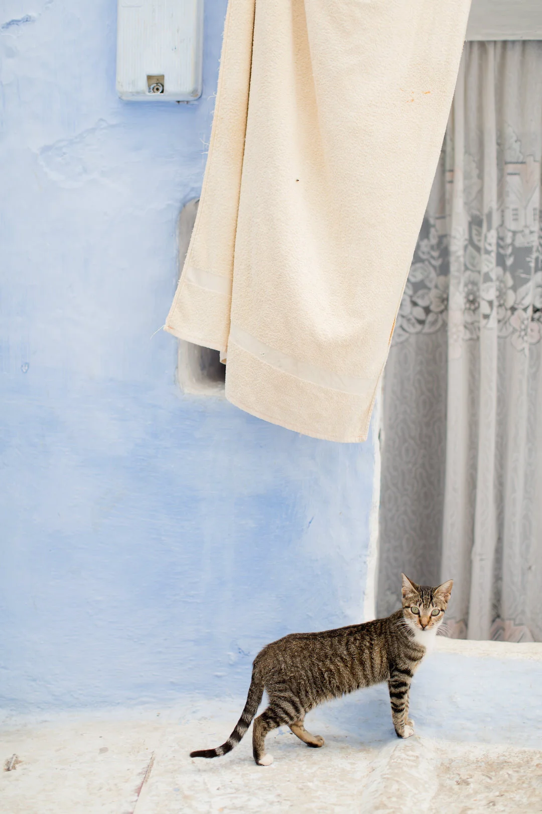Melissa Kruse Photography - Chefchaouen Morocco (web)-118.jpg