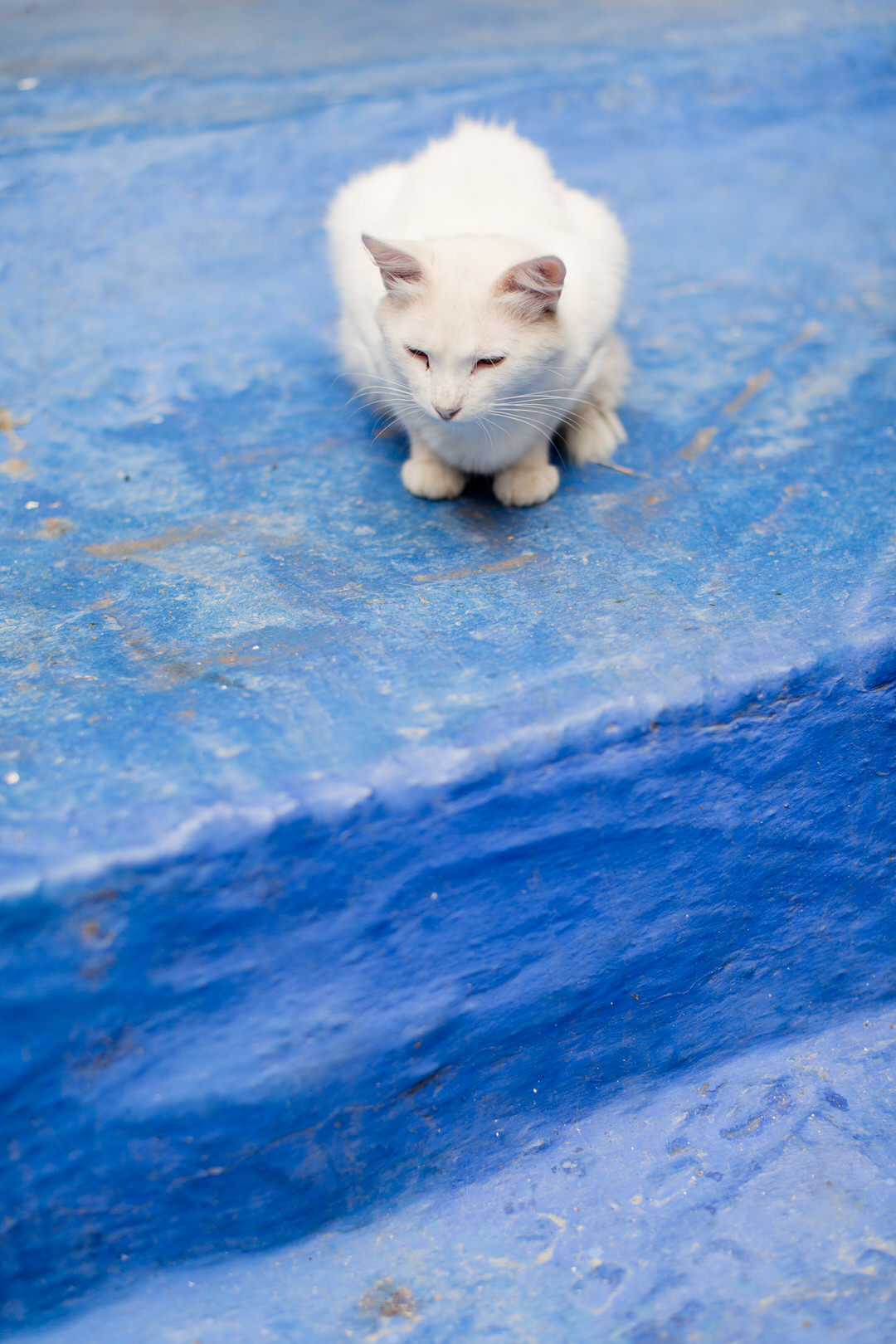 Melissa Kruse Photography - Chefchaouen Morocco (web)-130.jpg