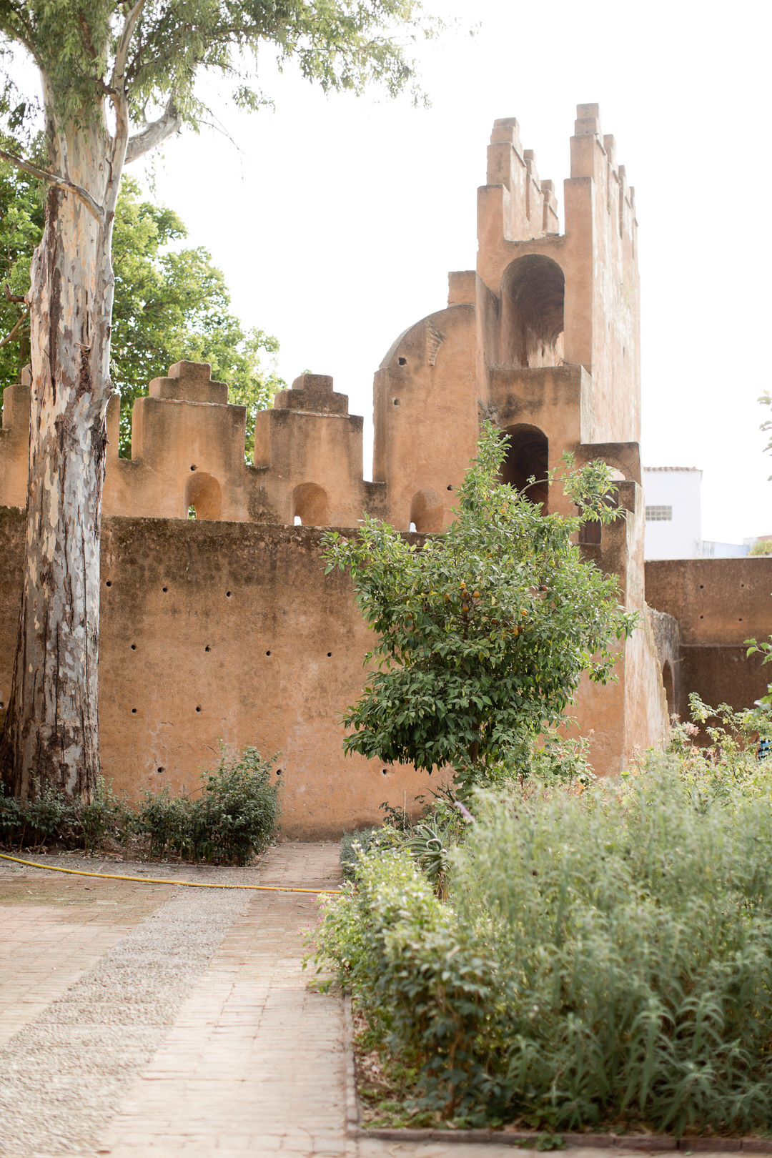 Melissa Kruse Photography - Chefchaouen Morocco (web)-161.jpg