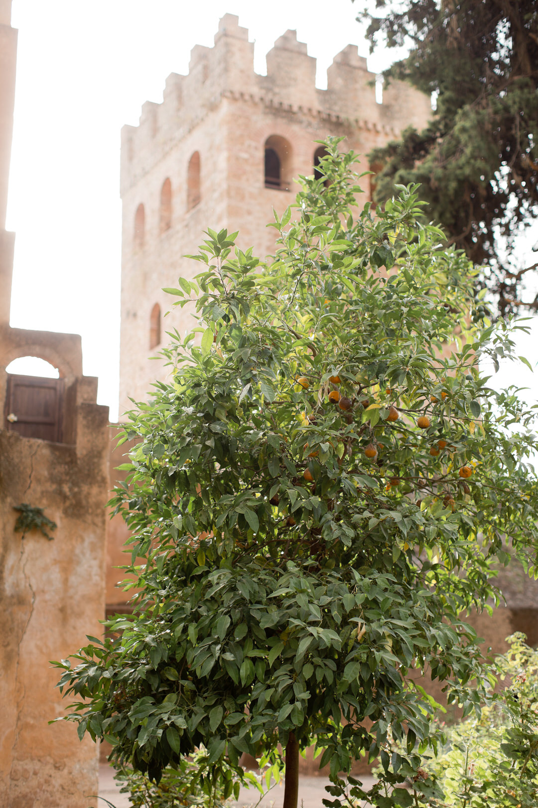 Melissa Kruse Photography - Chefchaouen Morocco (web)-165.jpg