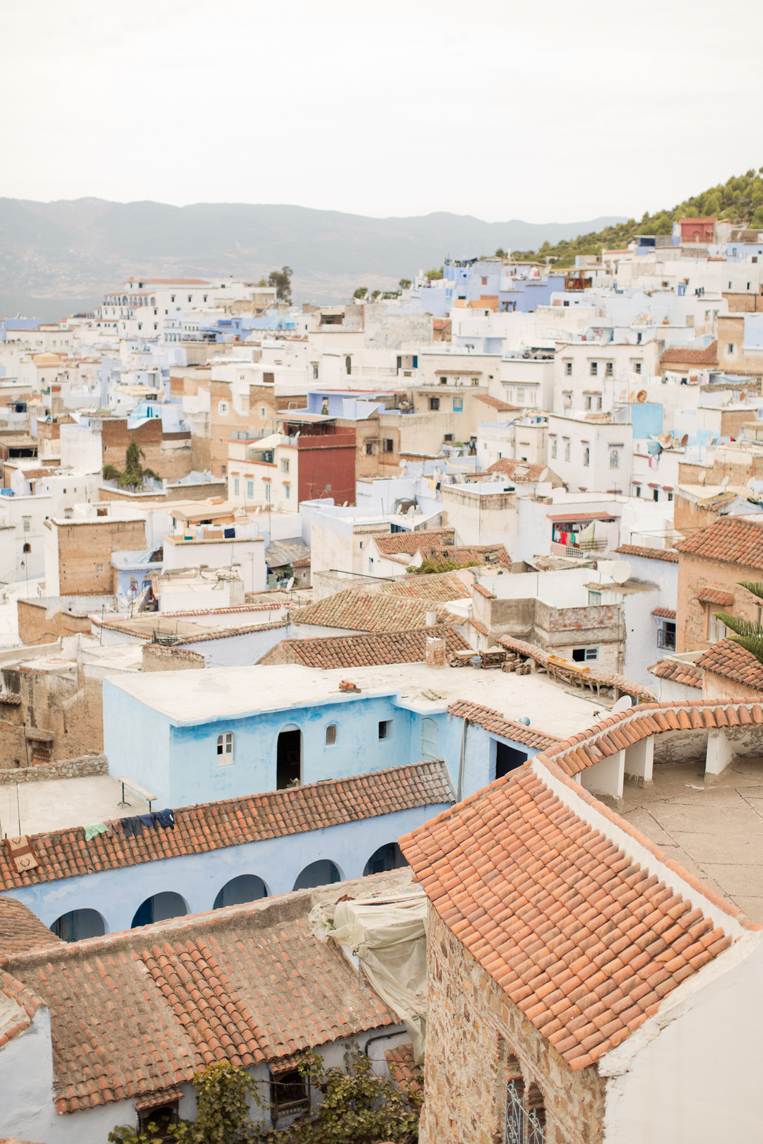 Melissa Kruse Photography - Chefchaouen Morocco (web)-182.jpg