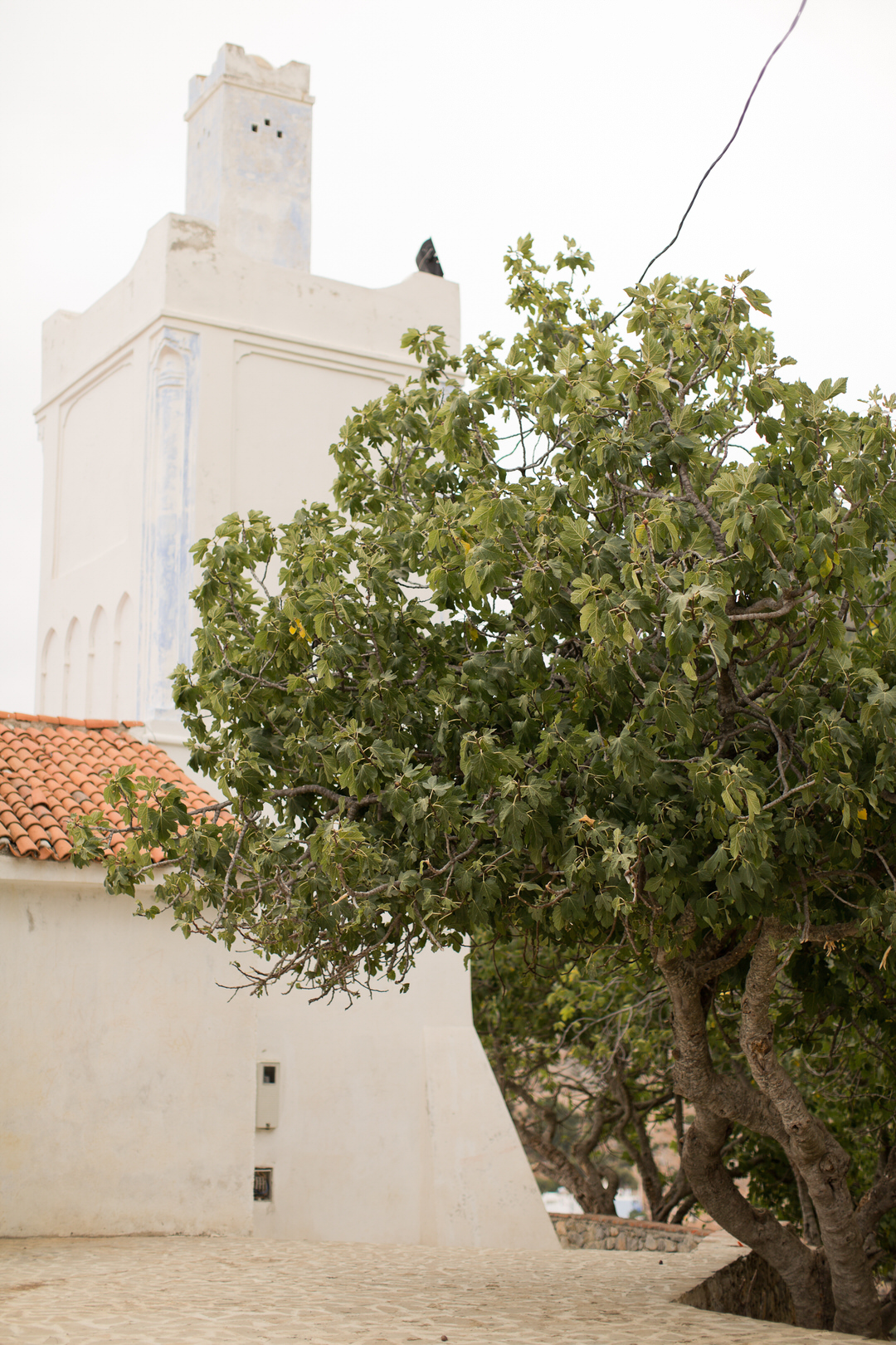 Melissa Kruse Photography - Chefchaouen Morocco (web)-196.jpg