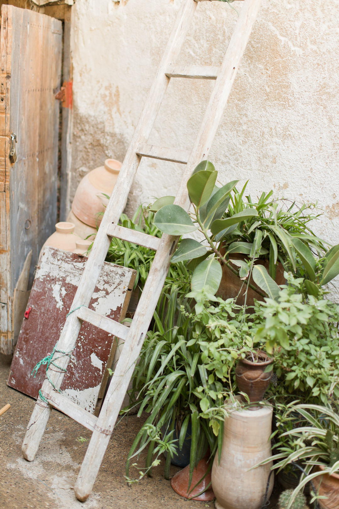 Melissa Kruse Photography - Fez Morocco (web)-151-1.jpg