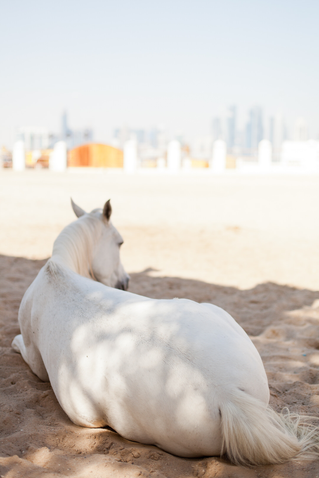 Melissa Kruse Photography - Doha Qatar-116.jpg