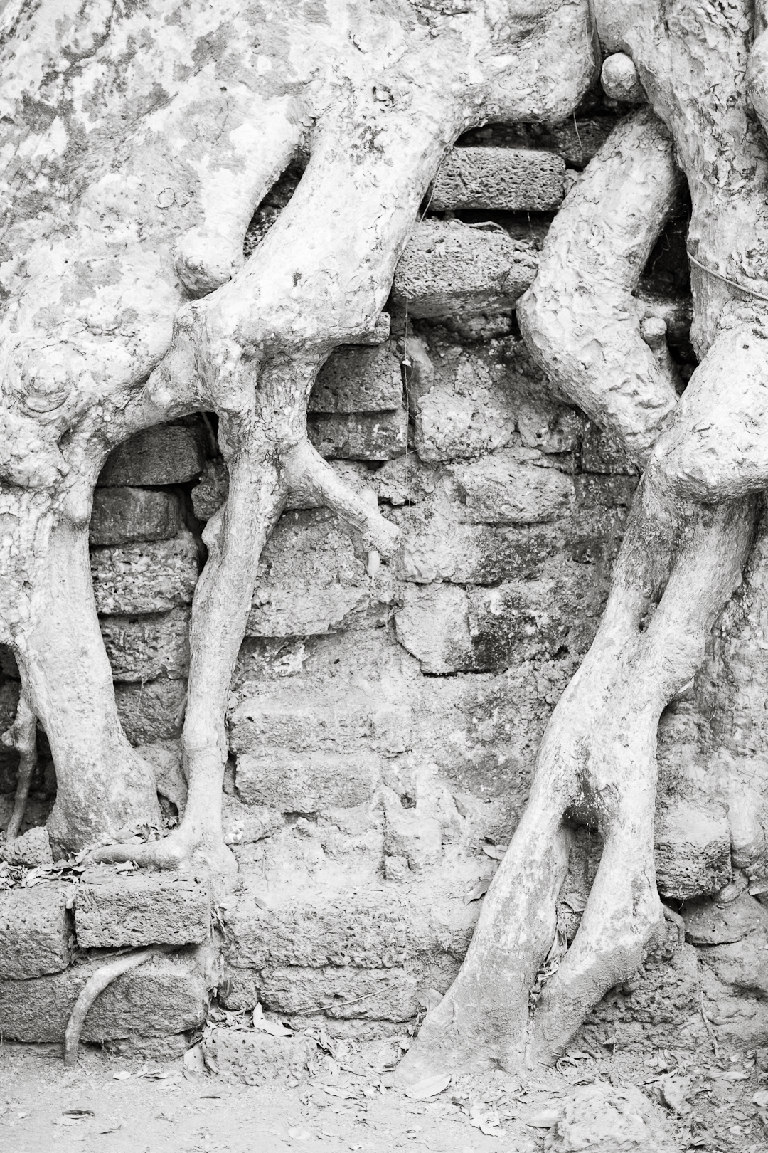 Melissa Kruse Photography - Siem Reap Cambodia Angkor Wat-10.jpg