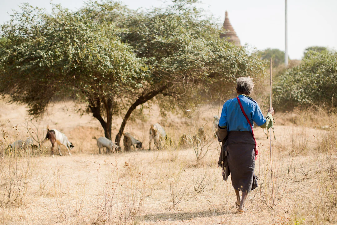 Melissa Kruse Photography - Myanmar-9.jpg