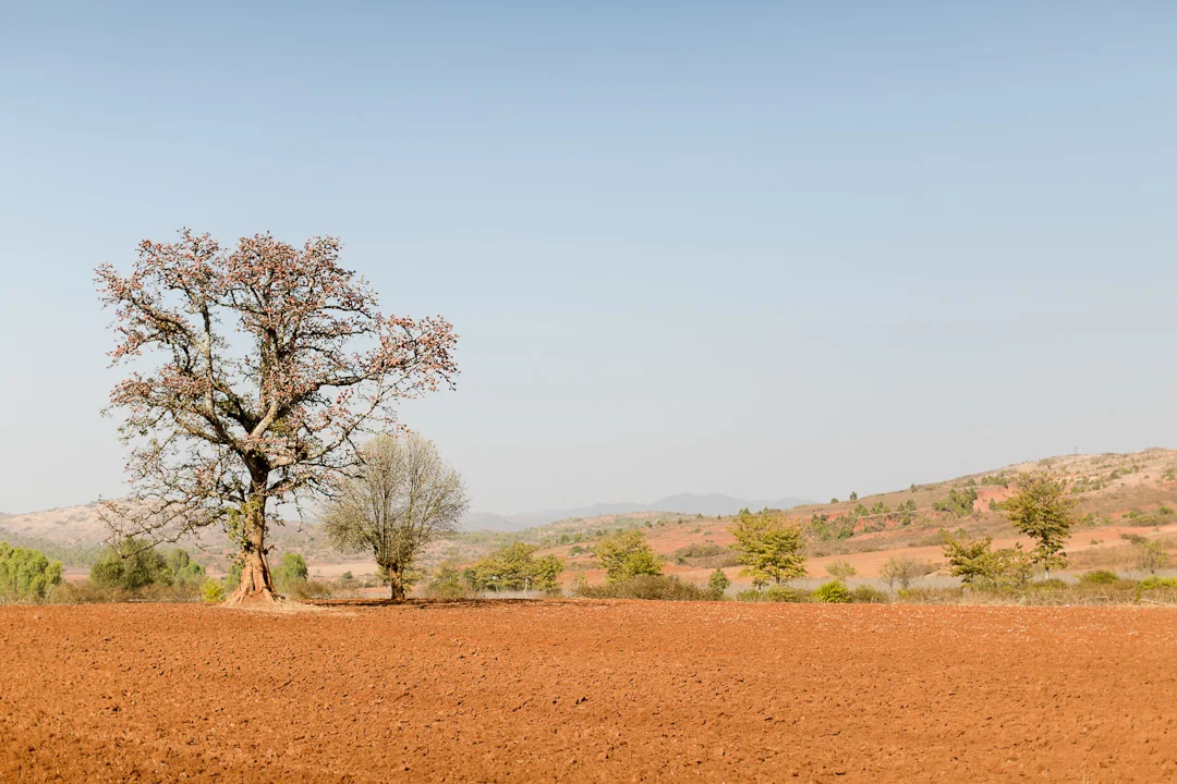 Melissa Kruse Photography - Myanmar-210.jpg