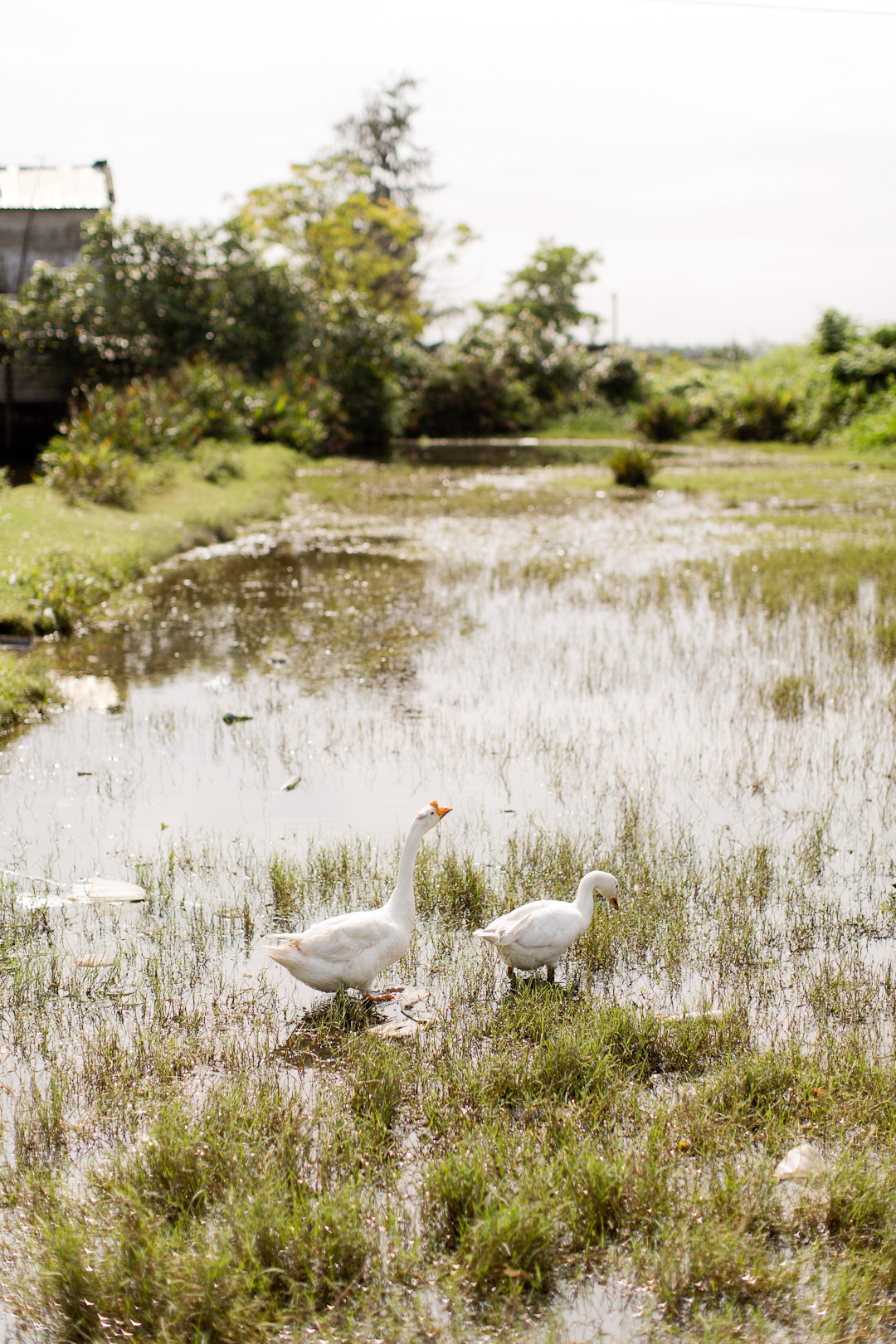 Melissa Kruse Photography - Vietnam-78.jpg