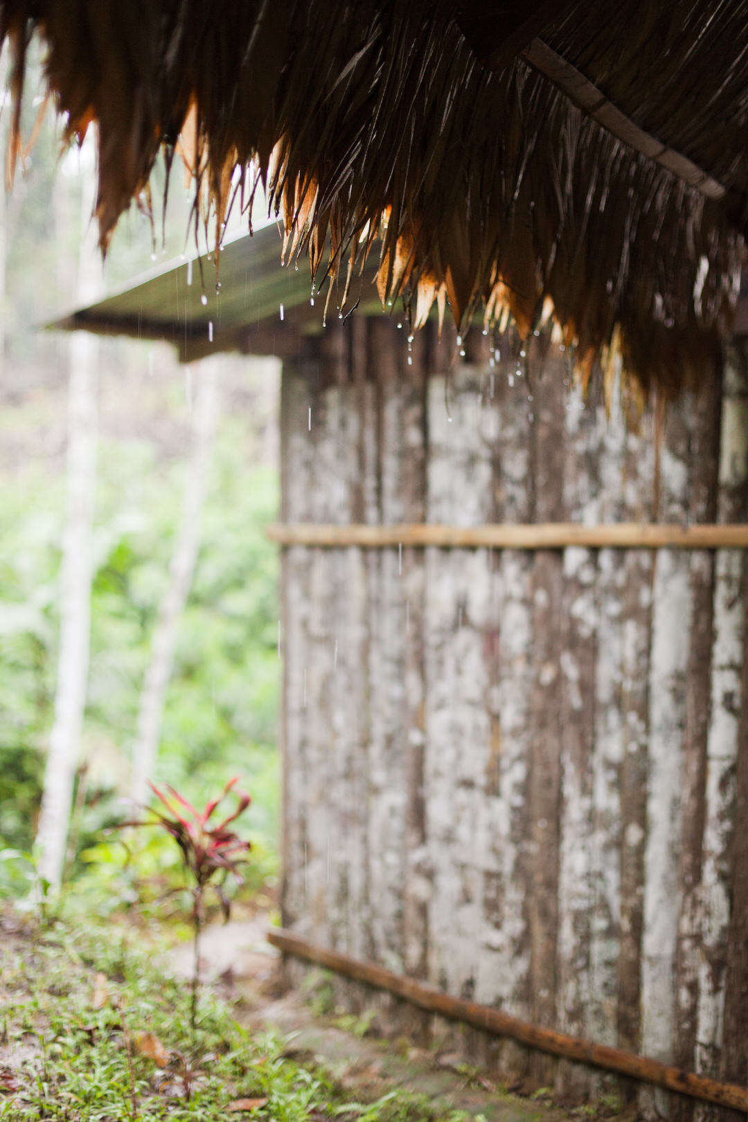 melissa kruse photography - chinimp tuna station, amazon, ecuador-7.jpg