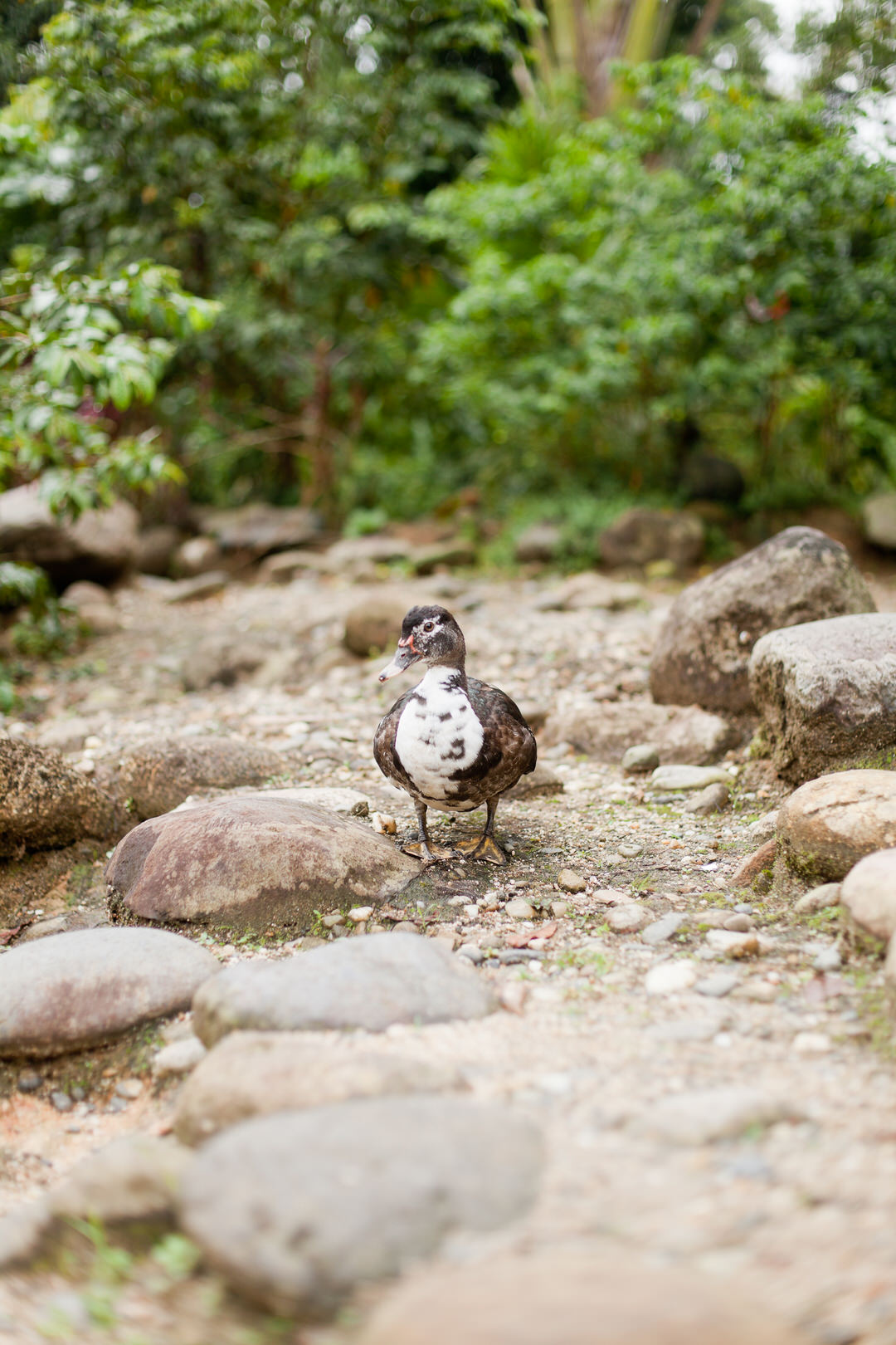 melissa kruse photography - chinimp tuna station, amazon, ecuador-32.jpg