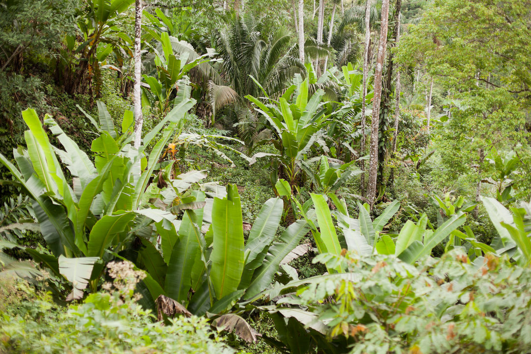 melissa kruse photography - chinimp tuna station, amazon, ecuador-71.jpg