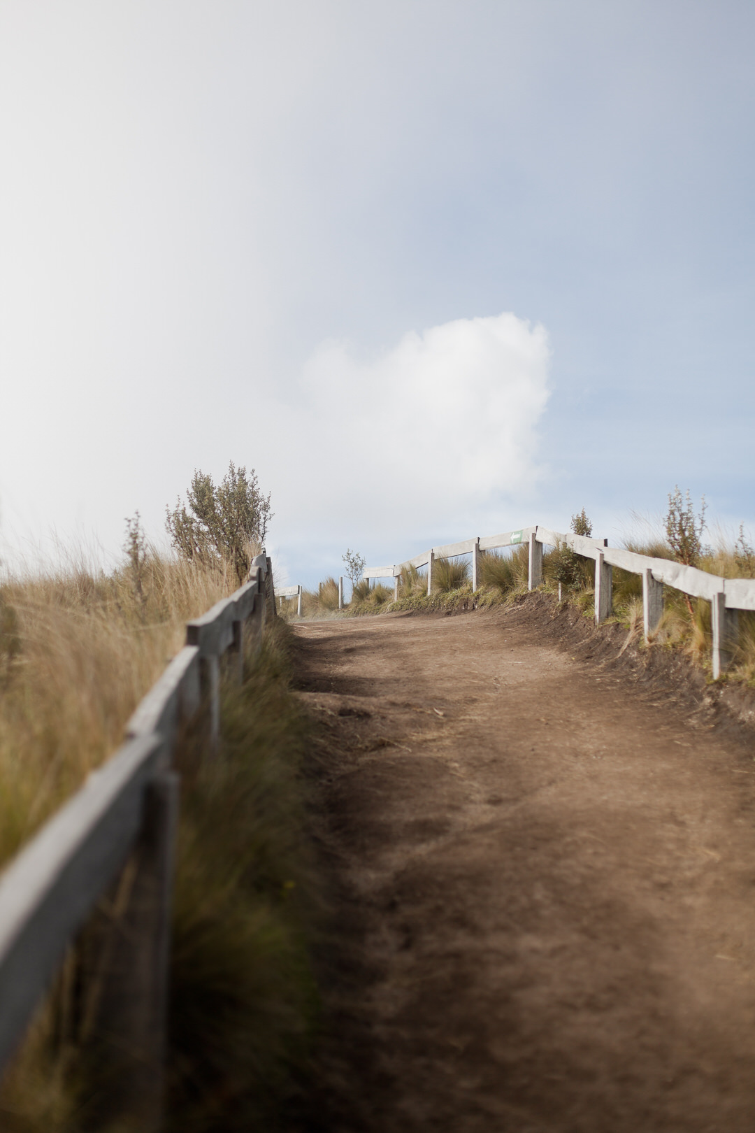 melissa kruse photography - quito, ecuador-7.jpg