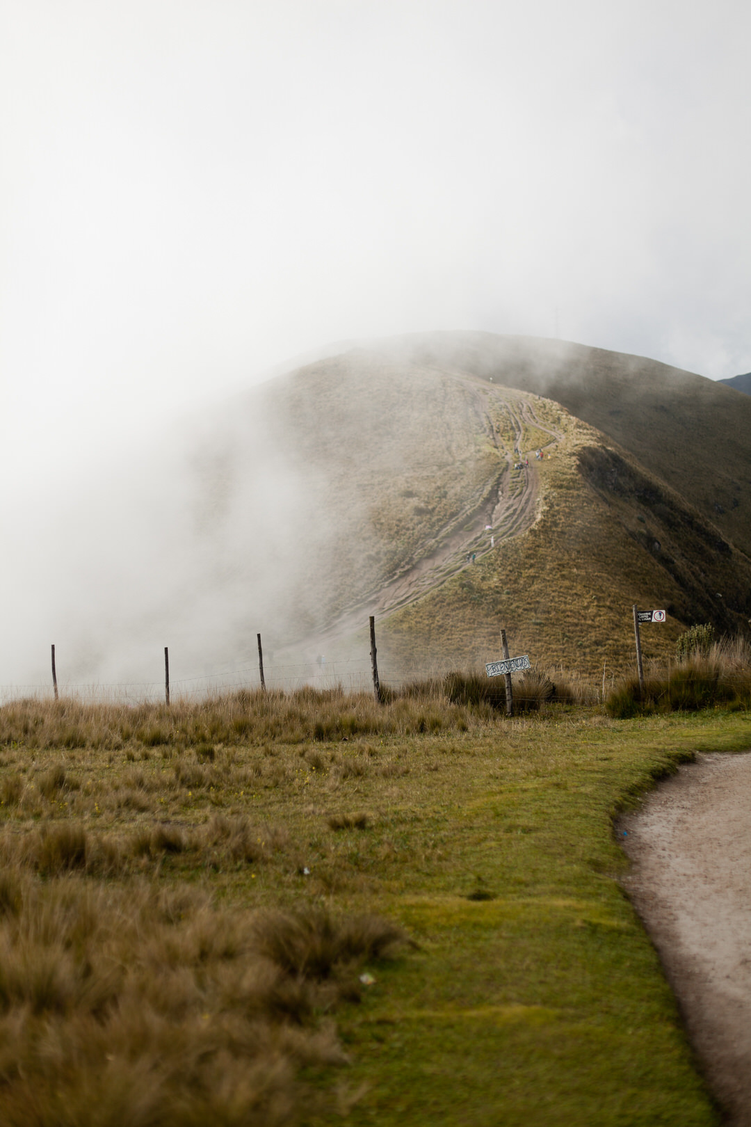 melissa kruse photography - quito, ecuador-12.jpg