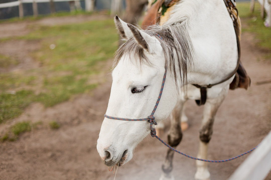 melissa kruse photography - quito, ecuador-20.jpg