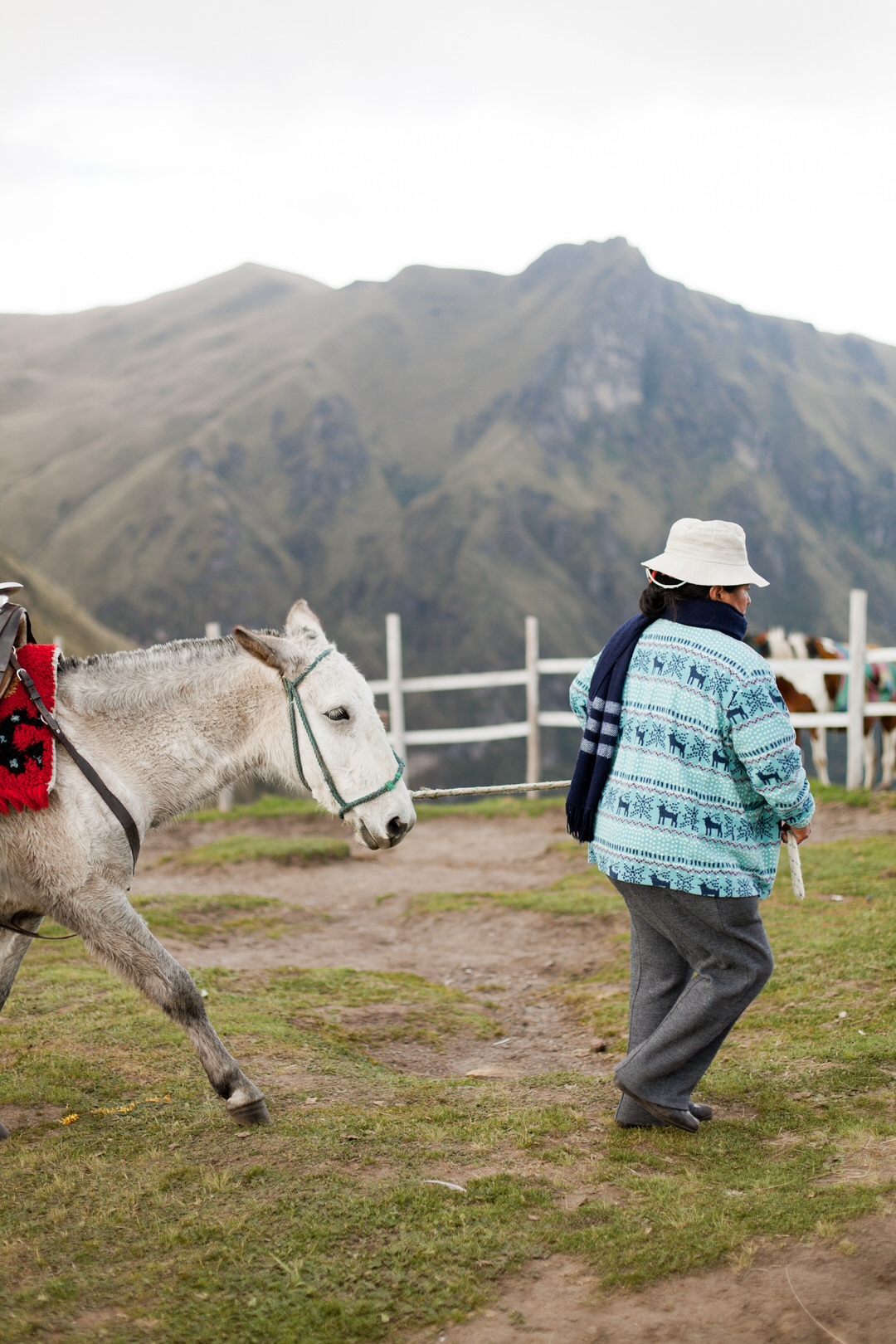 melissa kruse photography - quito, ecuador-19.jpg