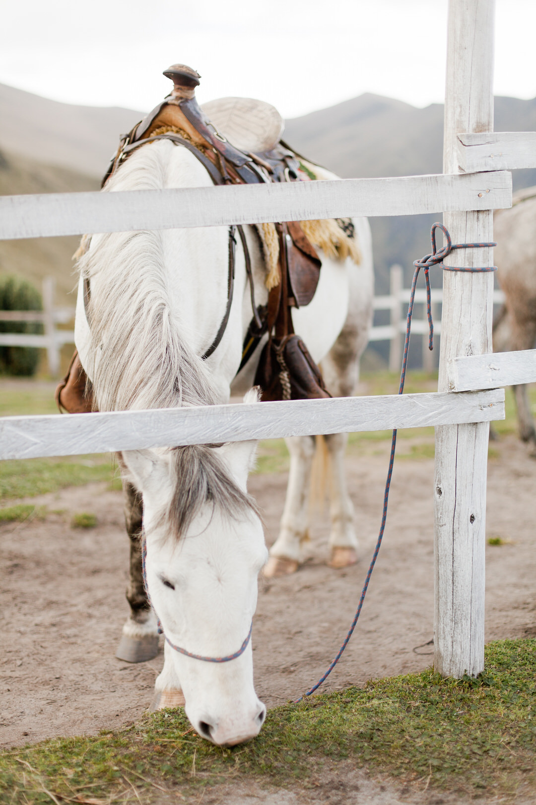 melissa kruse photography - quito, ecuador-21.jpg