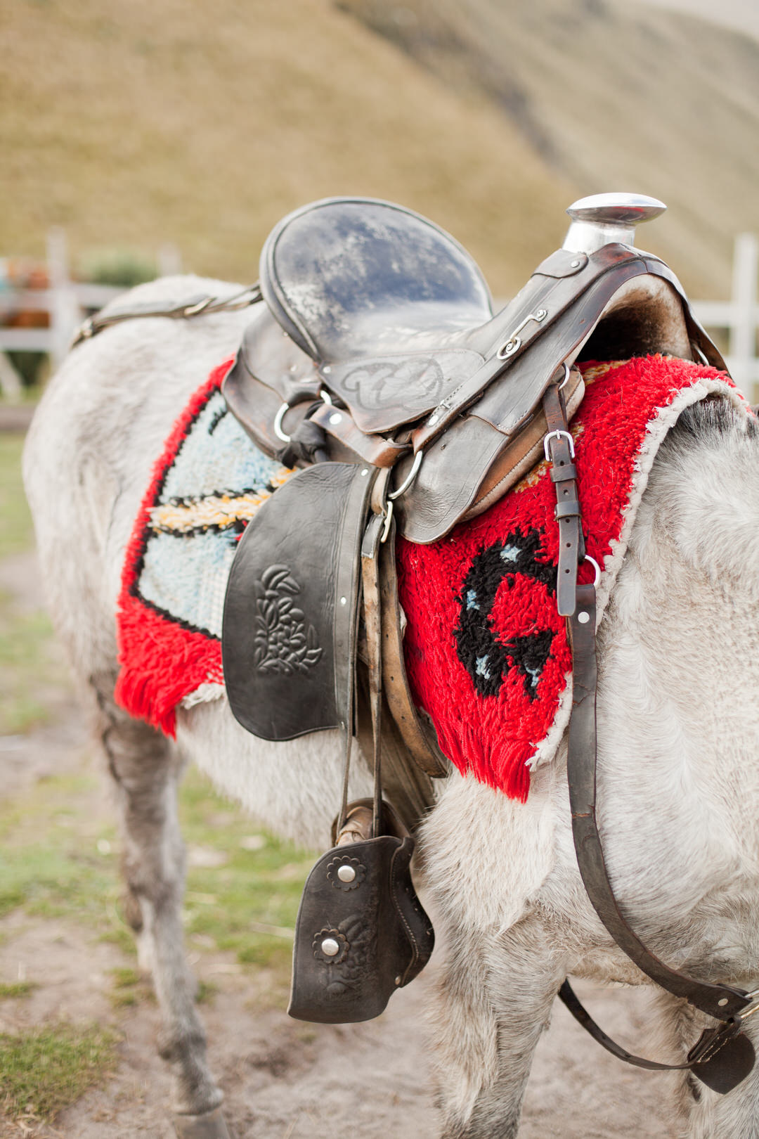 melissa kruse photography - quito, ecuador-22.jpg