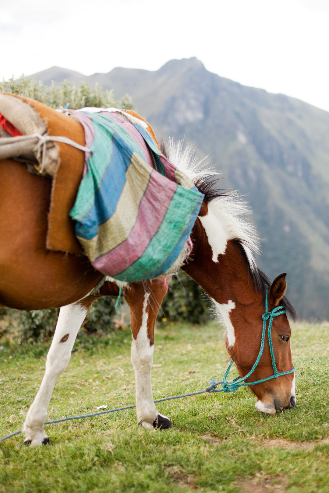 melissa kruse photography - quito, ecuador-23.jpg