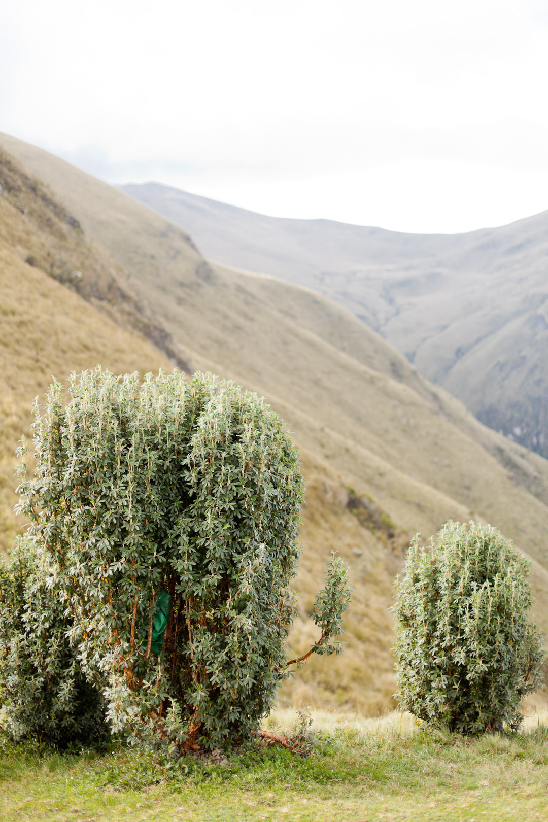 melissa kruse photography - quito, ecuador-24.jpg