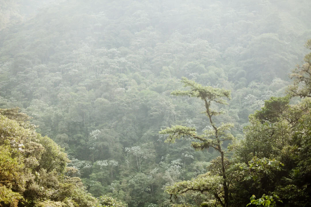 melissa kruse photography - Banos, Ecuador-39.jpg