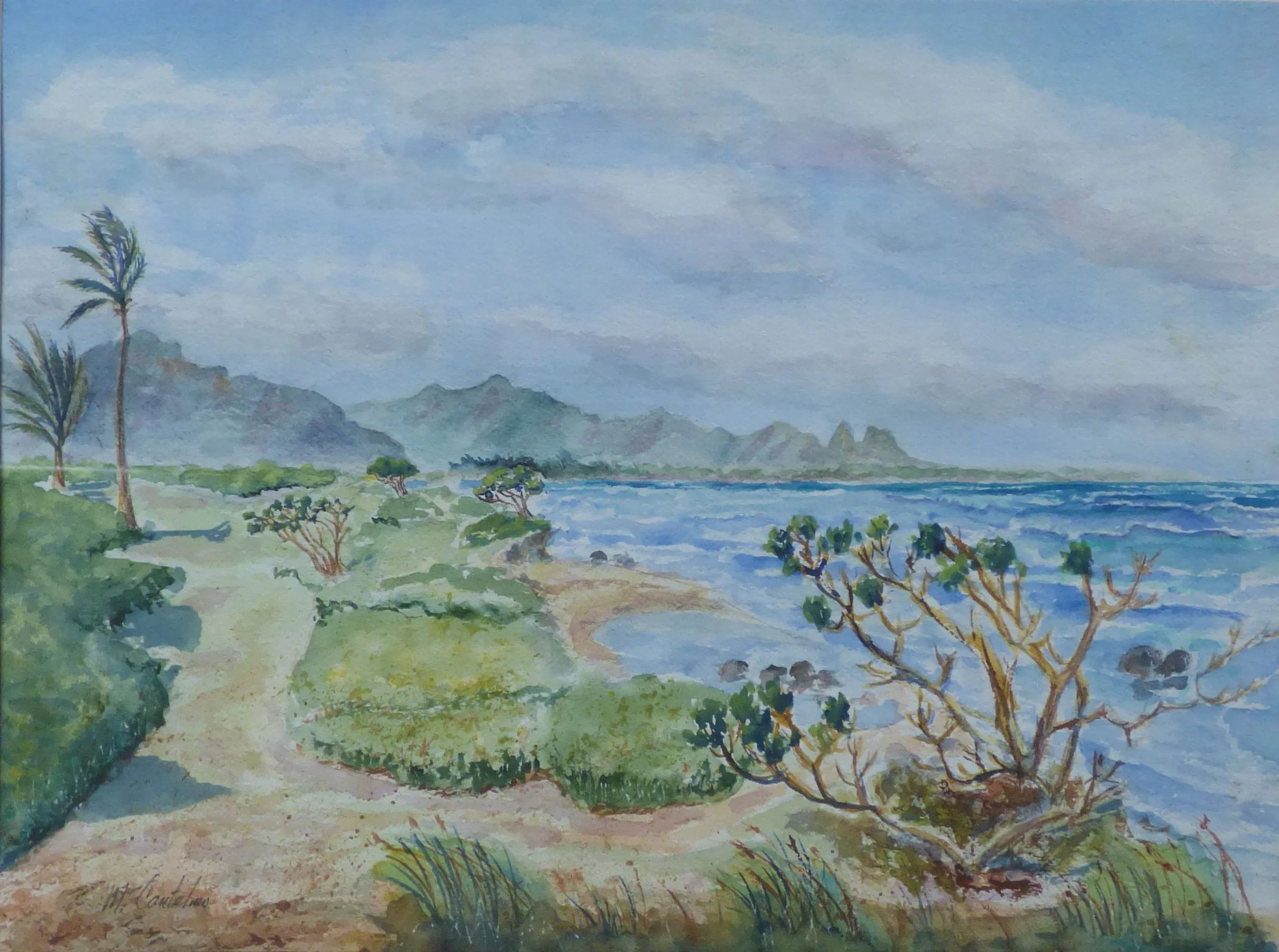 1st Place, Kauai Beach Near Lihue, watercolor by Michael Catelmo.jpg