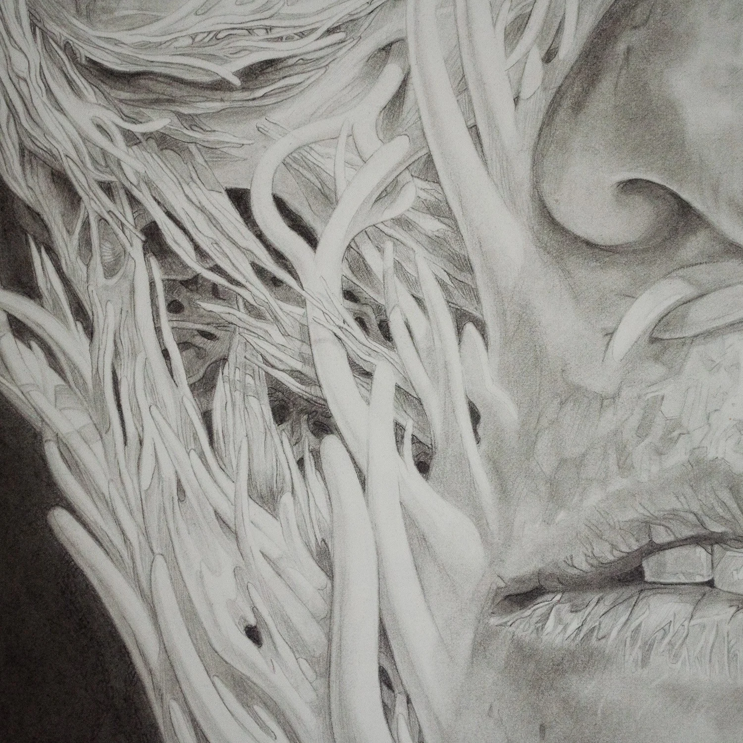 Anatomical detail