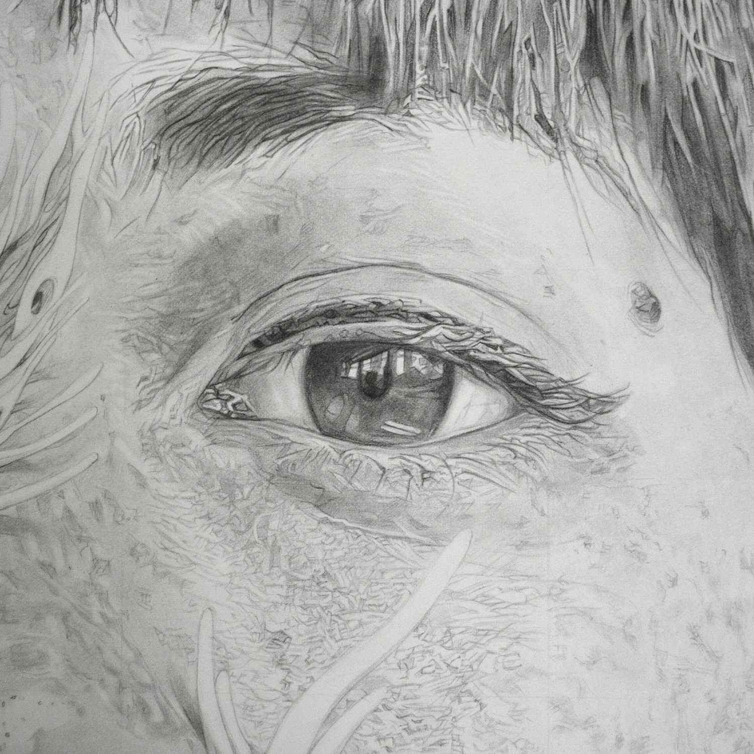 Detail of eye
