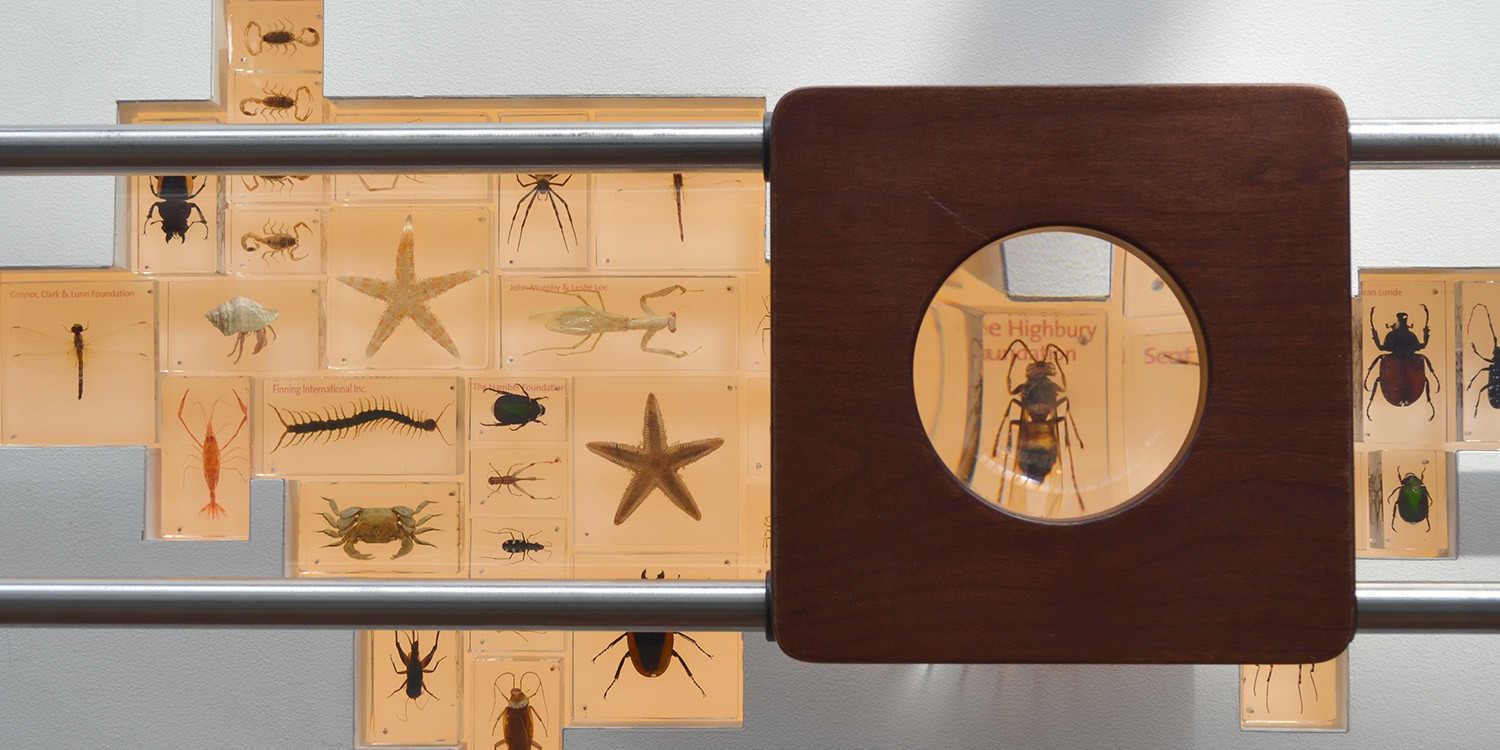 Close-up of donor wall. Donors names are printed on resin-cast insects, to be viewed through a magnifier.